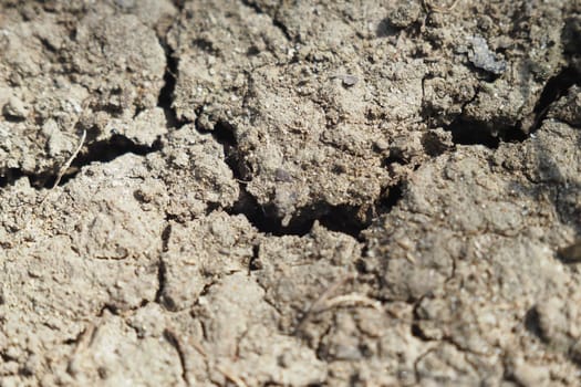 Dry, cracked soil shows signs of drought affecting the farmland area.