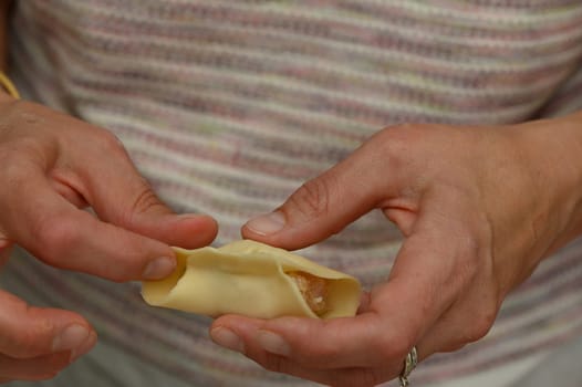 A skilled cook carefully shapes a dumpling in a warm kitchen filled with sunlight, celebrating culinary traditions.