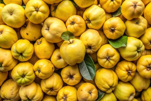 A close-up shot of ripe yellow quinces with vibrant green leaves, showcasing the natural texture and color of the fruit.