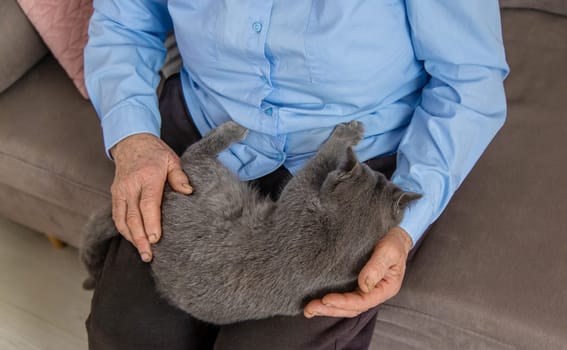 Old woman with a cat. Selective focus. People,
