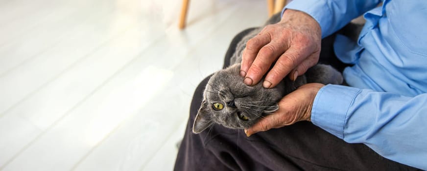 Old woman with a cat. Selective focus. People,
