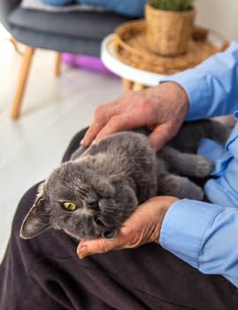 Old woman with a cat. Selective focus. People,