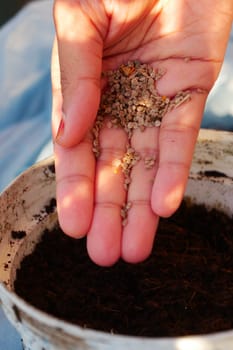 A hand prepared to plant seeds into a pot filled with soil.