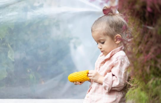 Young pretty girl holding corn over hothouse background. Copy space.