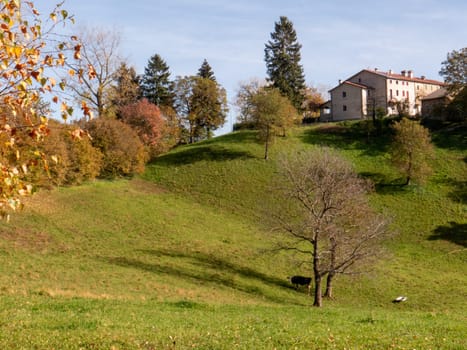 A peaceful forest path winding through the Lessini Mountains Durlo, Veneto. High quality photo