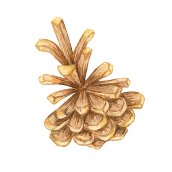 Pine cone watercolor illustration for winter crafts, holiday invitations, and nature-themed decor. Watercolor botanical clipart perfect for enhancing eco-friendly packaging and rustic merchandise