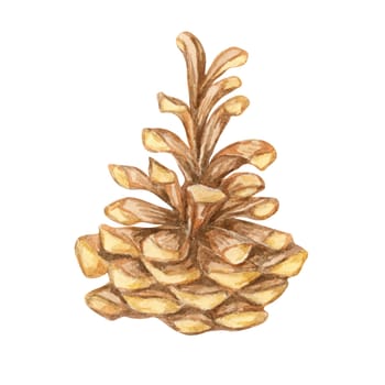 Pine cone in brown shades. Watercolor clipart perfect for nature-themed designs, holiday decorations, and rustic home decor. Detailed botanical illustration for greeting cards and seasonal posters