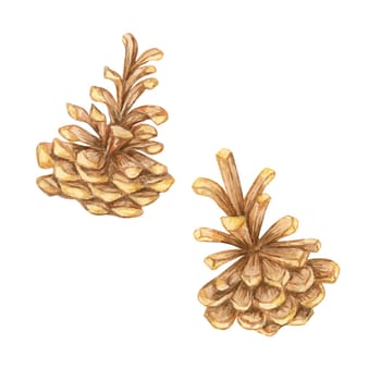 A pair of pine cones in brown tones, Watercolor clipart great for woodland-themed designs, holiday cards, and nature-inspired home decor. Botanical illustration for seasonal Christmas projects