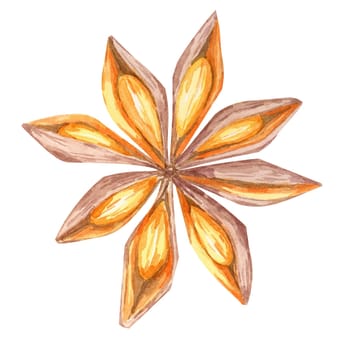 Star-shaped anise pod in rich brown and orange watercolor tones. Spices Clipart for use in holiday packaging, festive recipe books, or elegant spice-related branding materials