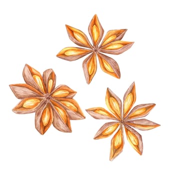 A set of three star anise pods in watercolor. Spices clipart. Perfect for seasonal designs, organic food branding, or adding a rustic touch to kitchenware packaging and holiday-themed products