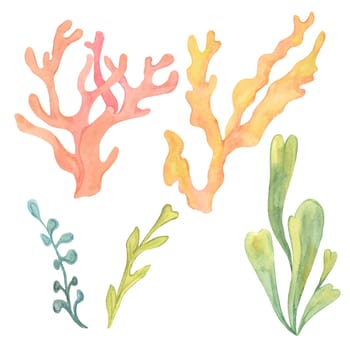 Collection of yellow and green watercolor seaweed with orange and red corals in various shapes. Hand drawn watercolor algae clipart for marine-themed designs, adding diverse underwater vegetation