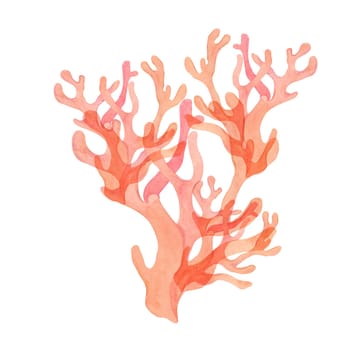 Pink watercolor coral clipart with branching structure. Red, fire coral isolated illustration, sea life for ocean-themed designs and underwater scenes, packaging, tropical beach projects