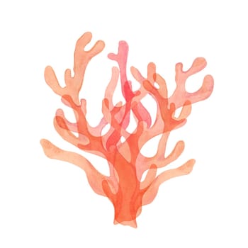 Bright pink watercolor coral clipart with detailed branches. Red coral for tropical and ocean projects, sea life isolated hand drawn illustration enhances marine-inspired designs, product packaging.