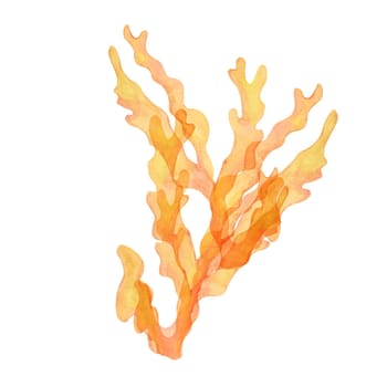 Yellow-orange watercolor coral clipart with intricate branching. Gold, fire coral ideal for coral reef scenes, hand drawn isolated sea life illustration enhances underwater designs, packaging
