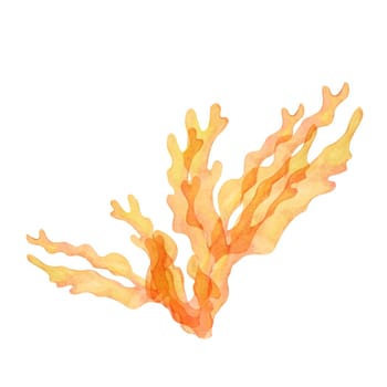 Orange coral, watercolor isolated clipart with multiple branches. Gold or fire coral hand drawn sea life illustration for aquatic reef art, underwater scenes or marine designs, packaging