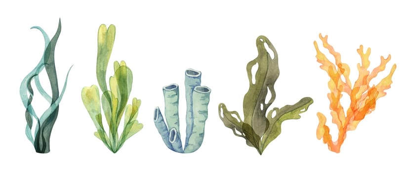 A mix of watercolor coral, sea tube sponge and seaweed clipart in green, blue, and orange tones. This ocean illustration set for tropical and underwater design themes. Algae isolated elements