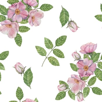 Flowers of Rosa Canina, wild rose buds, rosehip, and green leaves. Watercolor clipart, seamless pattern. Ideal for fabric design, wallpapers, or stationery, offering a nature-inspired artistic touch