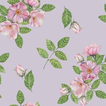 Flowers of Rosa Canina, rosehip bloom in pink shades with green leaves and a light lavender background. Seamless watercolor pattern clipart great for packaging, textiles, or home decor products