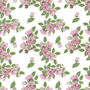 Pink Rosa Canina flowers and rosehip buds with green leaves. Seamless pattern, Dog rose hand painted watercolor clipart. Perfect for fabric patterns, wallpapers, or custom stationery designs