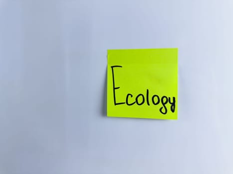 Handwritten word Ecology on green sticky note on white background. Environmental care and green technologies in modern world, ecological disasters and problems in nature