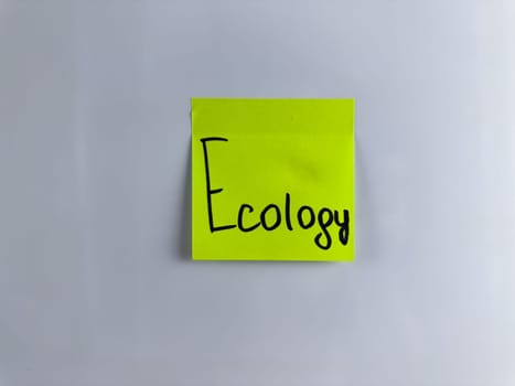 Ecology inscription on white background. Conceptual photo for project about ecology and environment. Problems with caring for nature. Attracting attention to environmental problems in modern world