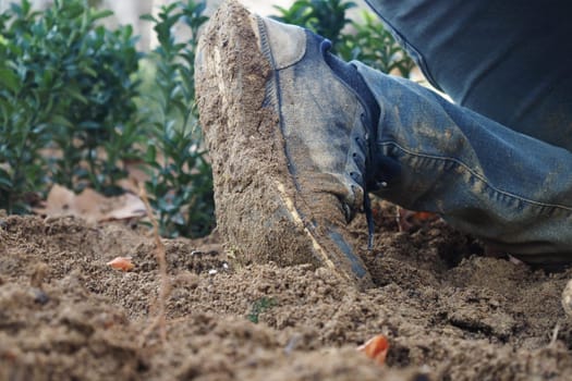 A person is engaged in gardening, leaving muddy footprints behind.