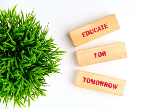 Wooden blocks display the phrase educate for tomorrow next to a vibrant green plant symbolizing growth and education.