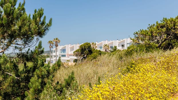 Nazare, Portugal - May 28, 2024: Detail of typical house architecture on a sunny spring day