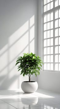 A lush green plant in a sleek white pot sits in a bright room. Soft light filters through a grid-patterned window, creating gentle shadows on the floor.