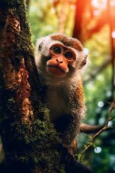 A curious monkey rests on a tree branch, gazing intently among the vibrant foliage of a dense forest, illuminated by soft daylight filtering through the leaves.