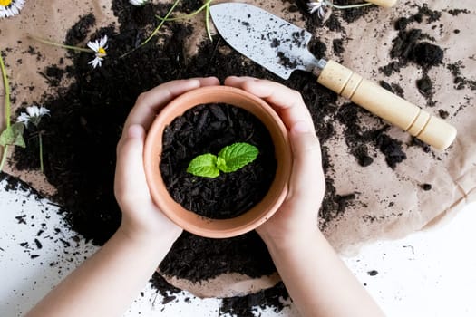 Childs hands planting green seedling in terracotta pot with gardening tools on soil.