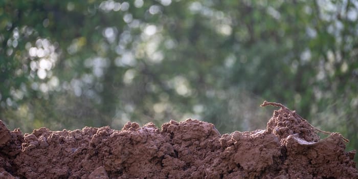 Fresh steaming earth soil in green nature