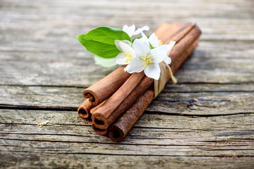 Cinnamon sticks and jasmine flower on vintage wooden table. Closeup of herbs and spices. Natural spicy aroma. Aromatherapy zen still life.
