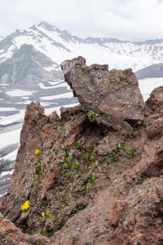 A rugged rocky formation adorned with vibrant greenery sits prominently in the foreground, while majestic snow-capped peaks and glacial valleys stretch into the distance under a cloudy sky.