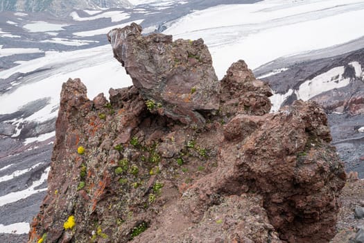 A rugged rocky formation at a high elevation, covered in colorful moss and lichen, overlooks a vast glacier under a clear blue sky during summer. The landscape showcases a mix of textures.