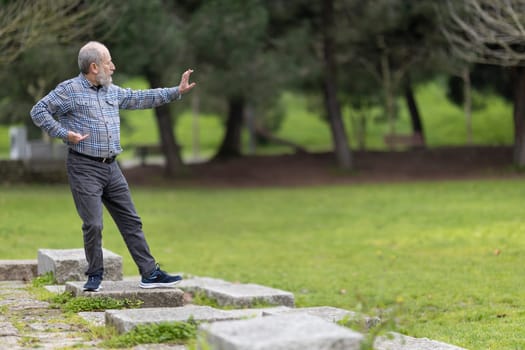 Elderly man performing tai chi exercises in a serene park setting, promoting health and well-being