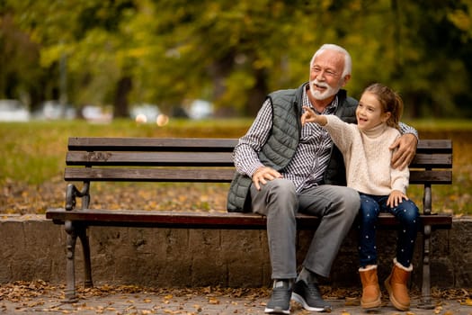 Handsome grandfather spending time with his granddaughter on bench in park on autumn day