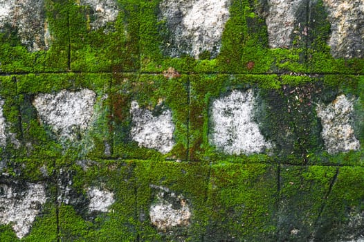 old antique stone wall covered with green moss. Natural textured background