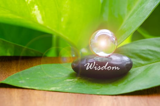 Wisdom text on black Zen stone on green leaf with shining glass marble background.