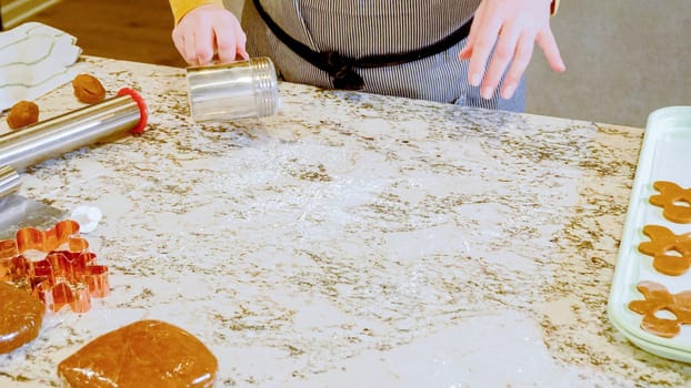 Using an adjustable rolling pin to roll out gingerbread cookie dough on the elegant marble counter in a modern kitchen, getting ready for festive holiday baking.