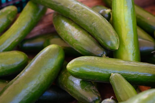 Bright green cucumbers rest together at a bustling market, showcasing their freshness on a sunny afternoon.