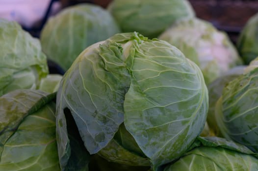 Fresh green cabbages are neatly displayed at a market, showcasing their lush leaves and vibrant colors.