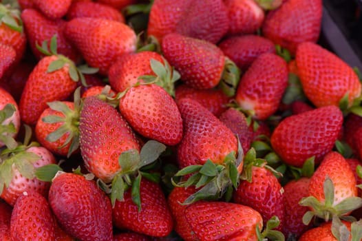 Fresh, juicy strawberries lie piled together, glistening under the warm sun, ready for eager shoppers.