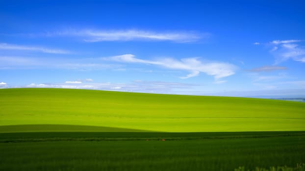 The Green Grass, Blue Sky Background. Green grass, blue sky