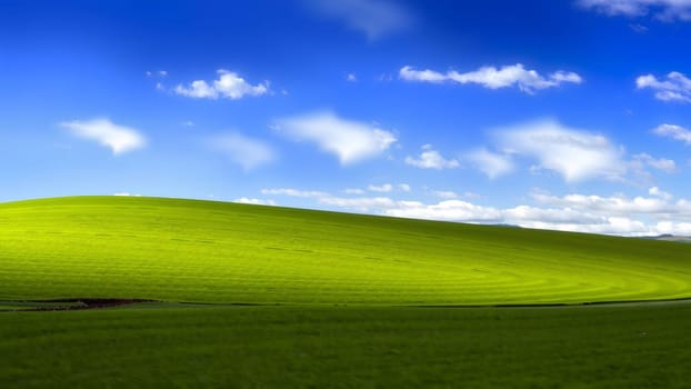 The Green Grass, Blue Sky Background. Green grass, blue sky