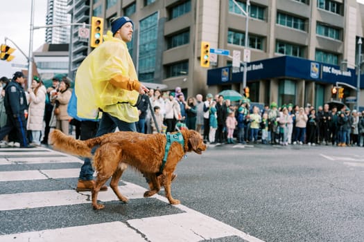 A man equipped with a rain poncho is walking his dog across a busy city street