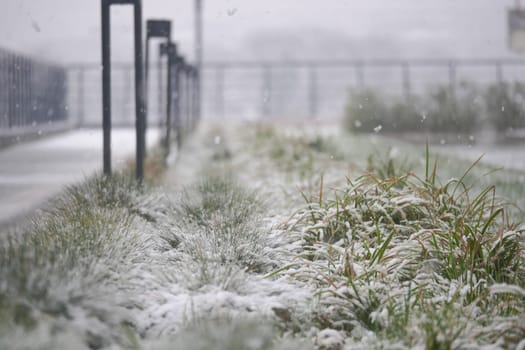 Snow blankets grassy areas alongside a walkway in a quiet urban setting.