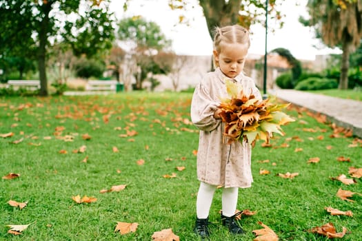 Little girl adds yellow leaves to a bouquet in her hands while standing in a clearing. High quality photo
