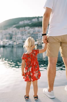 Dad and a little girl are standing on the boardwalk, holding hands. Back view. Cropped. High quality photo