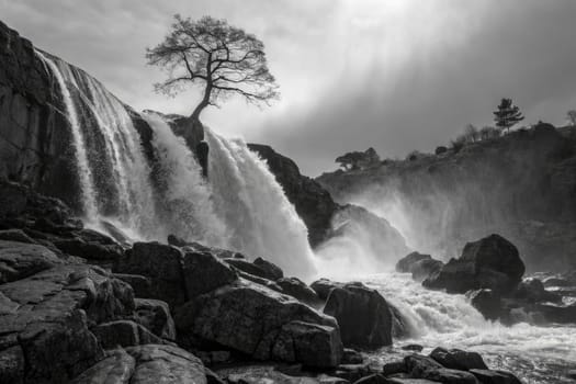 Water rushes powerfully over rugged rocks, creating a stunning waterfall. A lone tree stands defiantly on the edge, silhouetted against a dramatic sky.